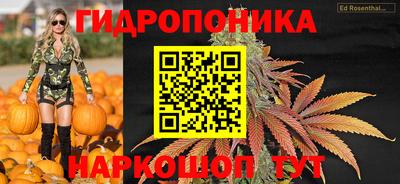 спиды Донской