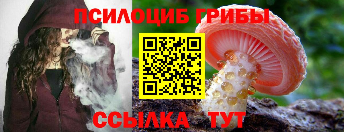 Малгобек  Галлюциногенные грибы MAGIC MUSHROOMS  наркотики  Вход с VPN  Галлюциногенные грибы Cubensis 